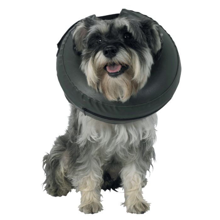 Comfy Collar 