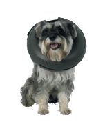 Comfy Collar 